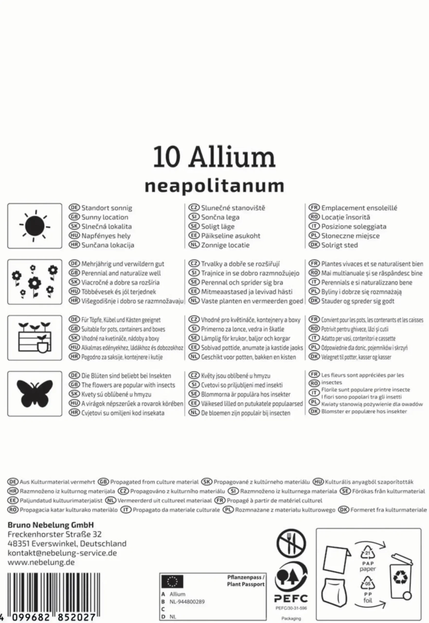 Kiepenkerl Herbstblumenzwiebel Zierlauch Allium neapolitanum 10 Stück