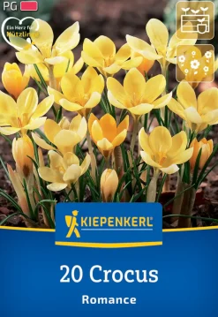 Kiepenkerl Herbstblumenzwiebel Wildkrokus Romance 20 Pflanzen