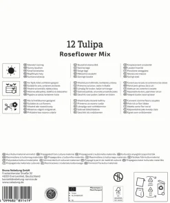 Kiepenkerl Herbstblumenzwiebelmischung Mega-Pack Gefüllte Späte Rosentulpen 12 Stück