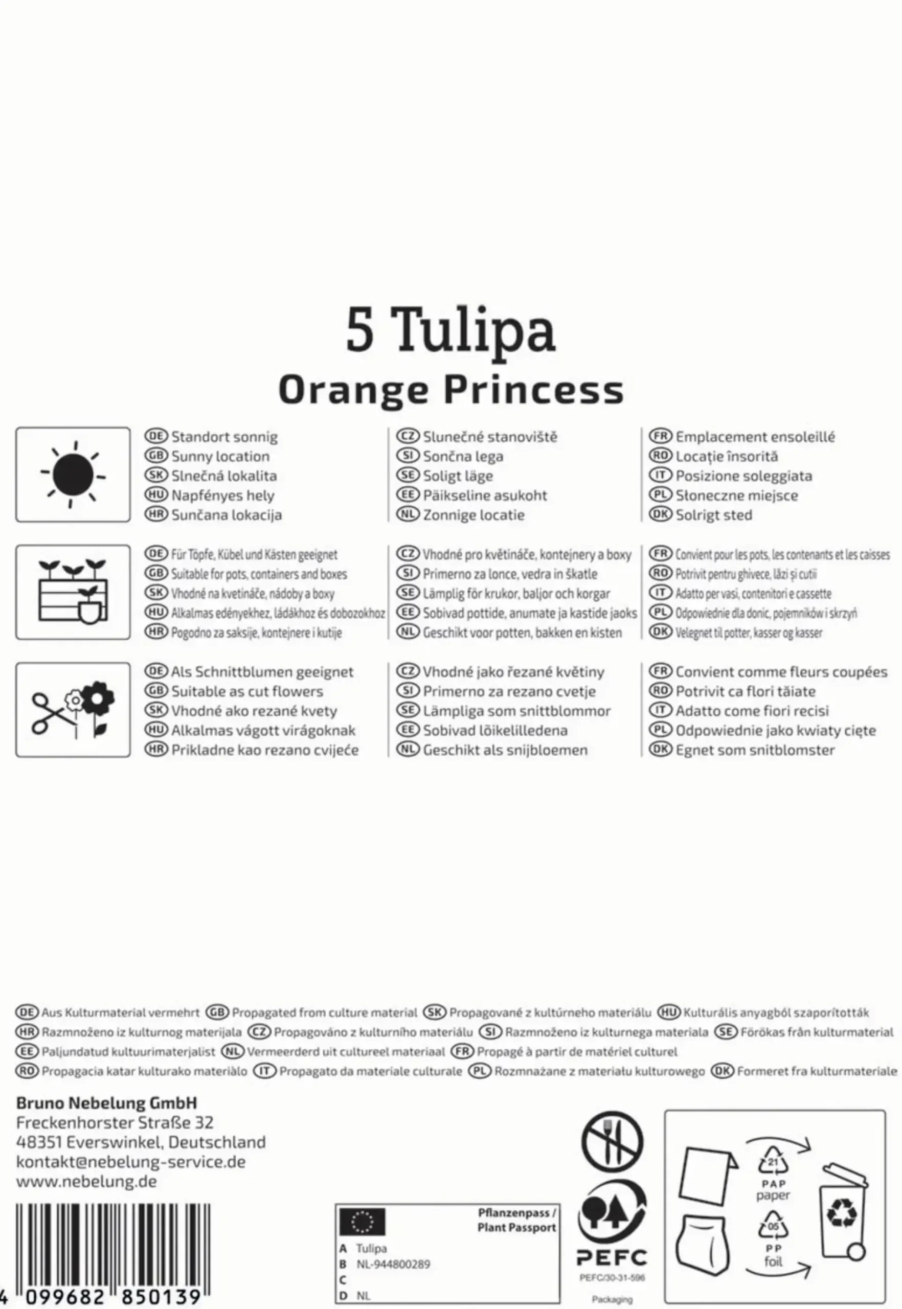 Kiepenkerl Herbstblumenzwiebel Tulpe Orange Princess 5 Stück