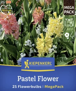 Kiepenkerl Herbstblumenzwiebelmischung Mega-Pack Pastel Flower 25 Stück
