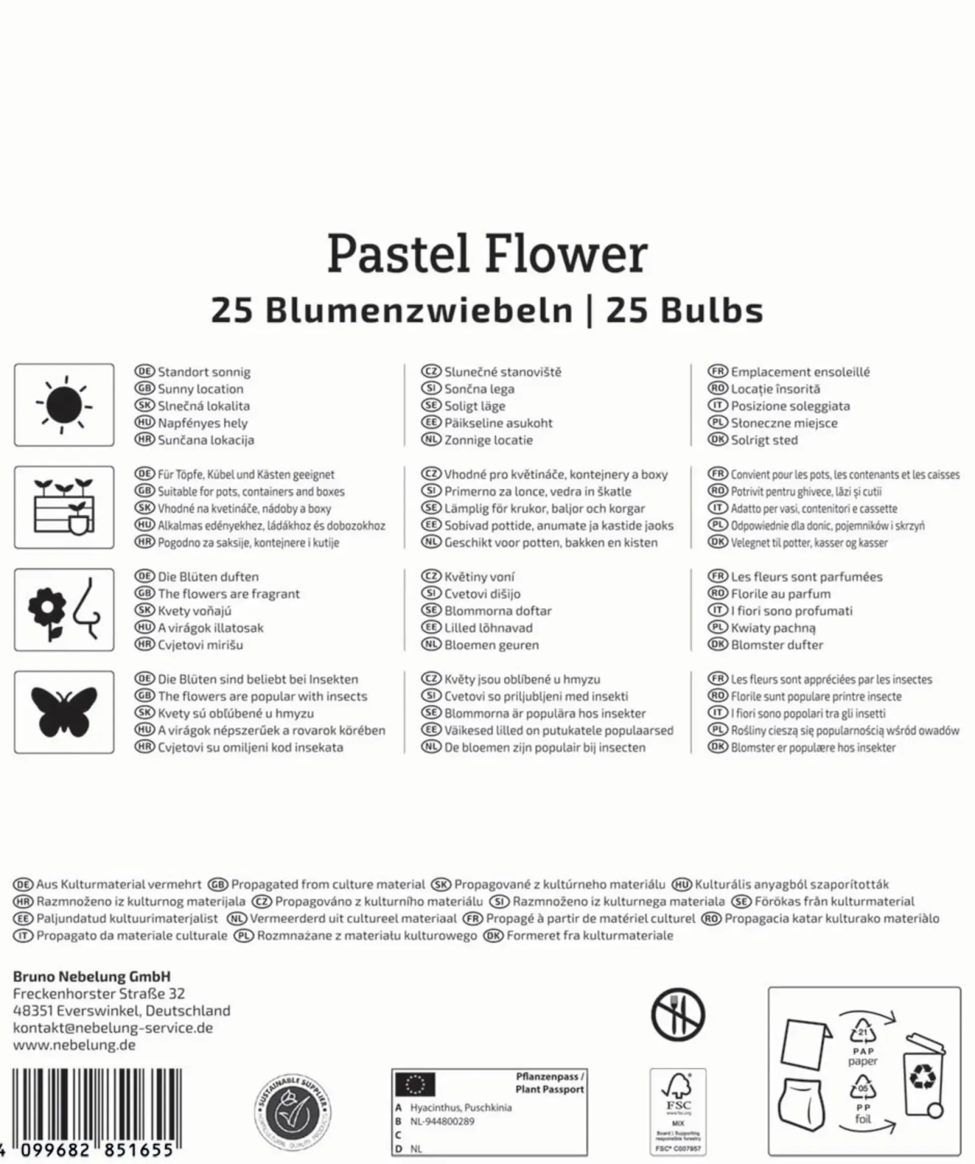 Kiepenkerl Herbstblumenzwiebelmischung Mega-Pack Pastel Flower 25 Stück
