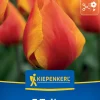 Kiepenkerl Herbstblumenzwiebel Einfache Frühe Tulpe Flair 7 Pflanzen