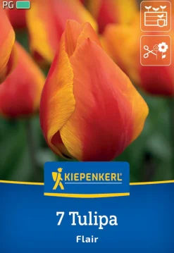 Kiepenkerl Herbstblumenzwiebel Einfache Frühe Tulpe Flair 7 Pflanzen