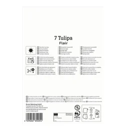 Kiepenkerl Herbstblumenzwiebel Einfache Frühe Tulpe Flair 7 Pflanzen