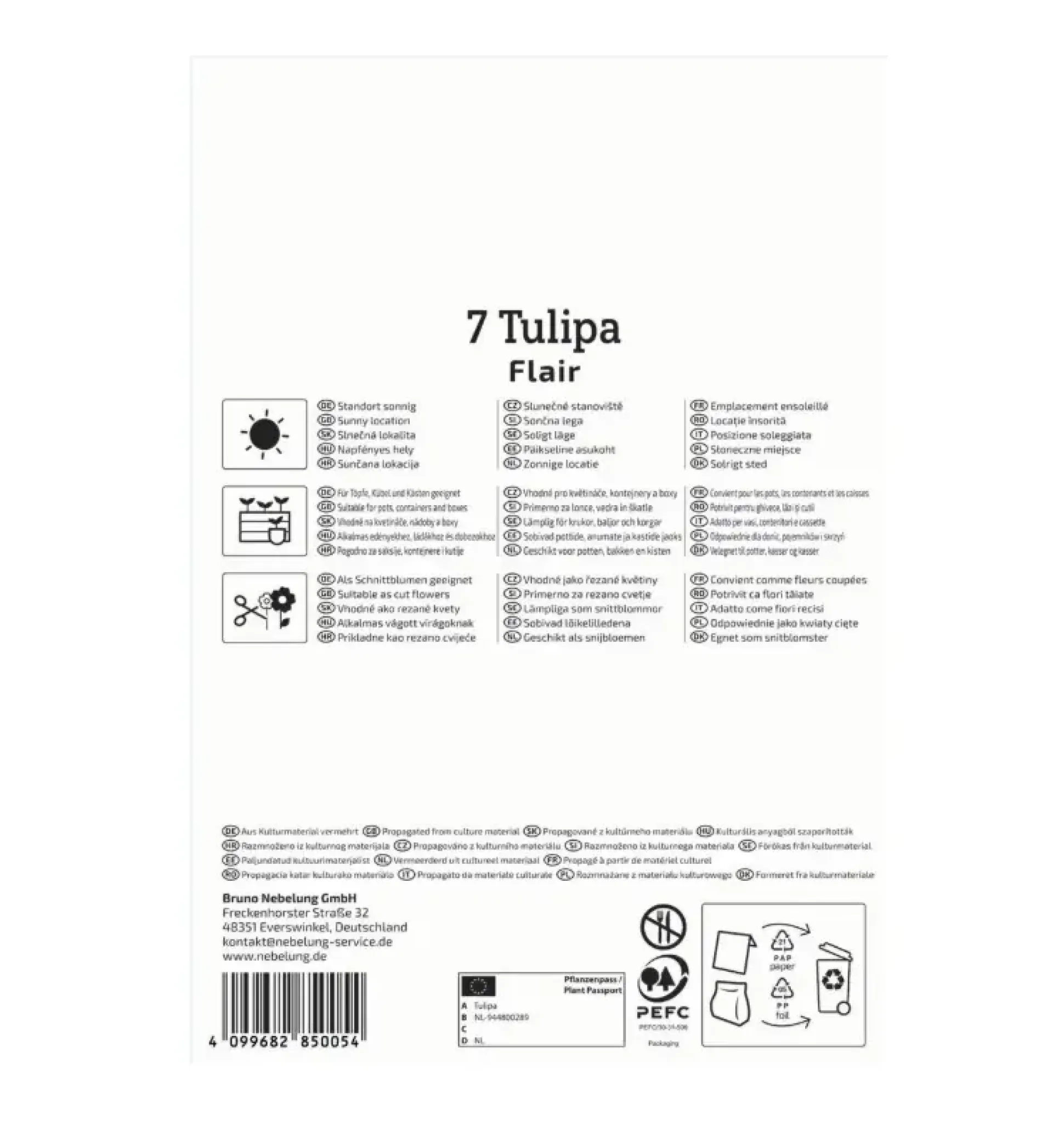 Kiepenkerl Herbstblumenzwiebel Einfache Frühe Tulpe Flair 7 Pflanzen