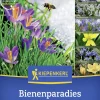 Kiepenkerl Herbstblumenzwiebelmischung Mega-Pack Bienenparadies 50 Stück