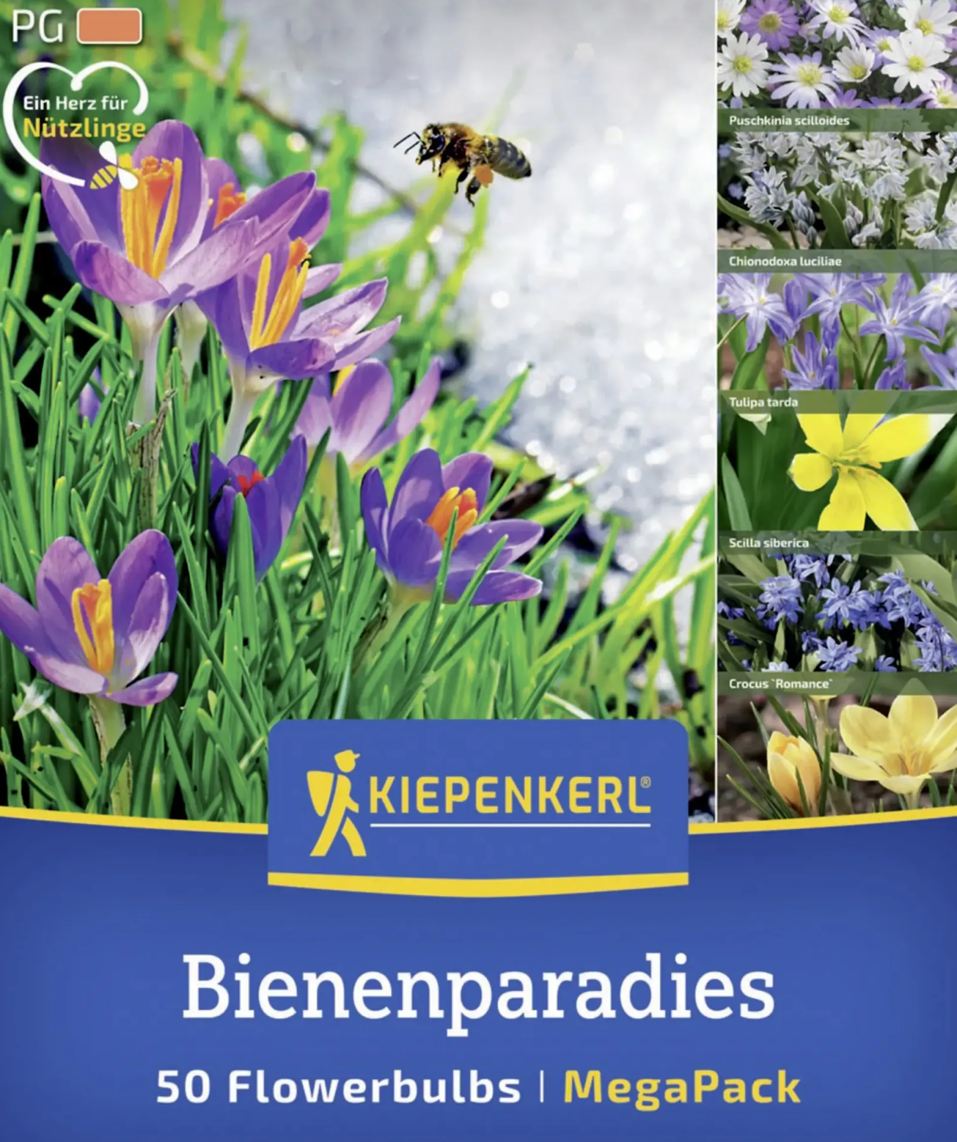 Kiepenkerl Herbstblumenzwiebelmischung Mega-Pack Bienenparadies 50 Stück