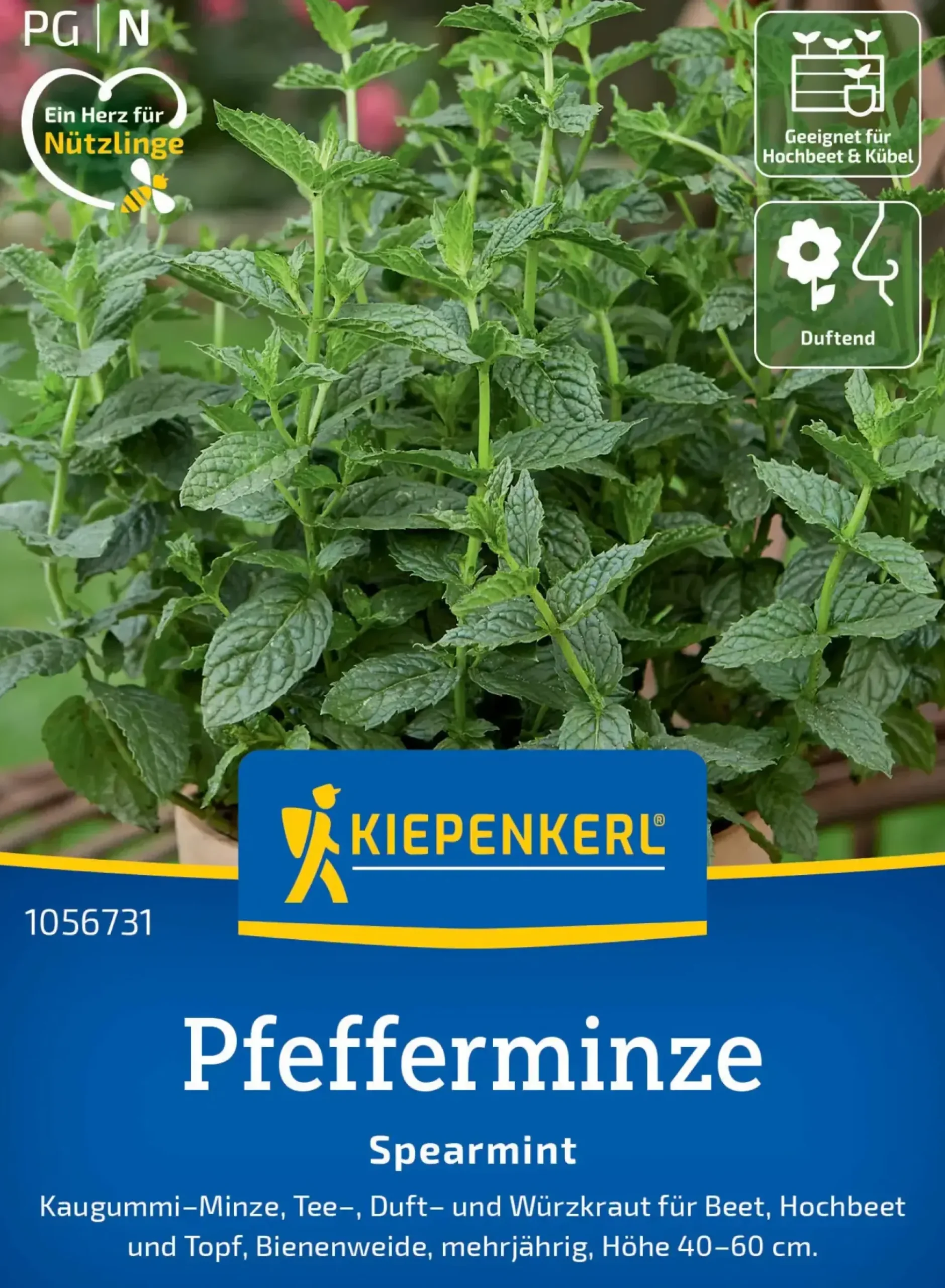 Kiepenkerl Kräutersamen Pfefferminz Spearmint für ca. 200 Pflanzen