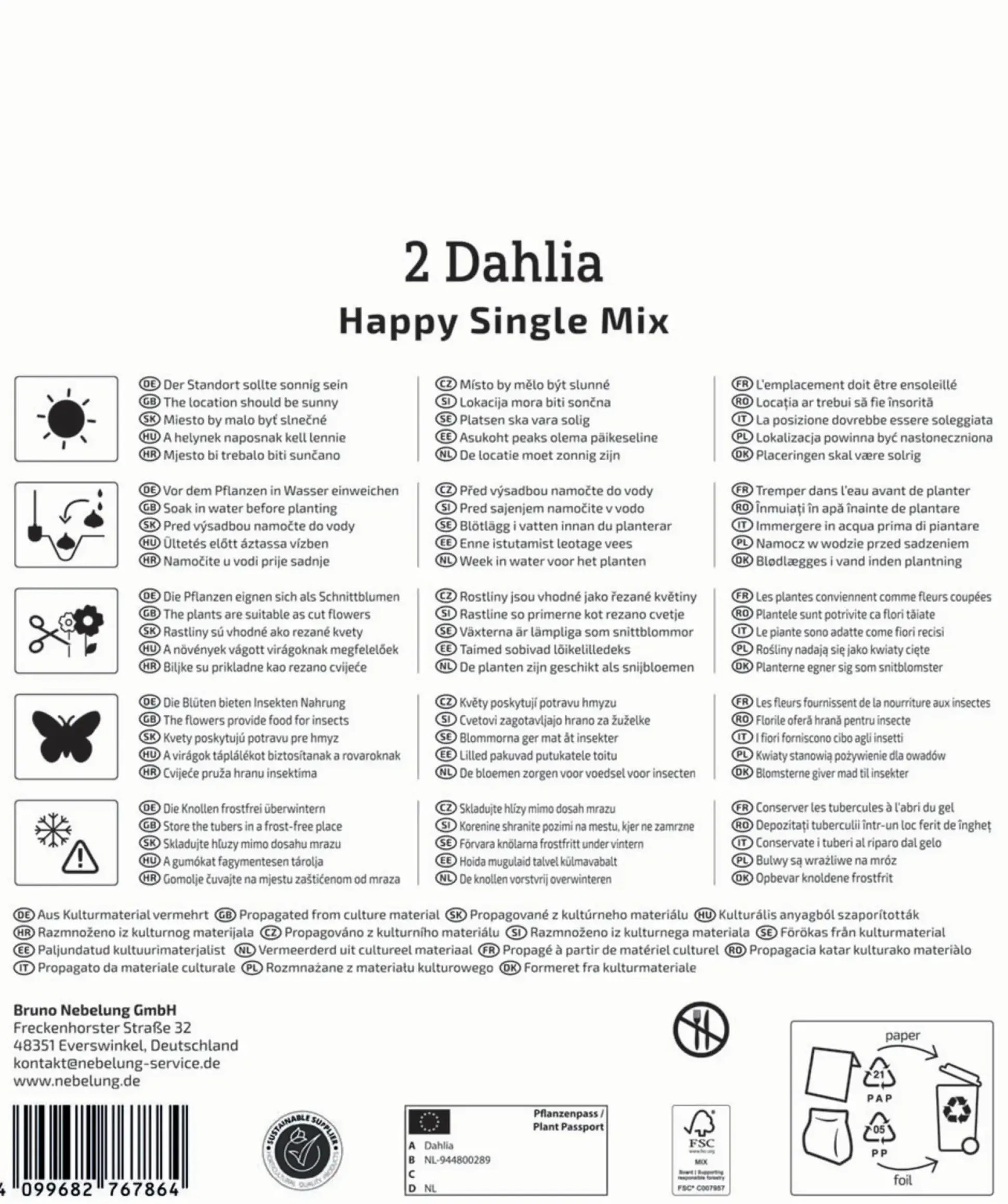 Kiepenkerl Mega-Pack Frühjahrsblumenzwiebel Dunkellaubige Dahlien Happy Single Mix 2 Stück