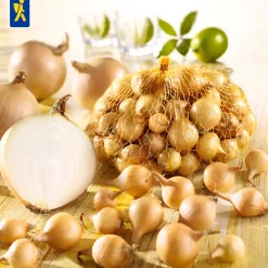 Kiepenkerl Pflanzgut Gelbe Wintersteckzwiebel Senshyu Yellow 250 Gramm