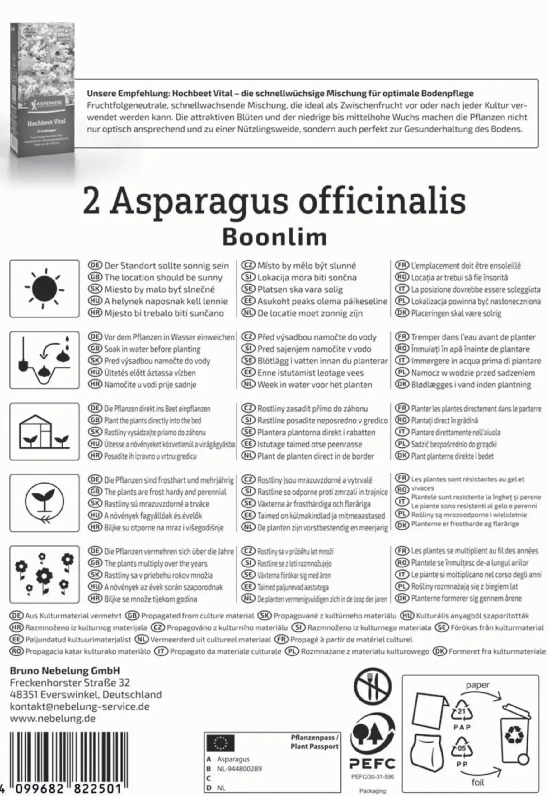 Kiepenkerl Pflanzgut Grünspargel Boonlim Asparagus officinalis 1 Stück