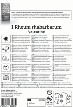 Kiepenkerl Pflanzgut Rhabarber Valentine Rheum rhabarbarum 1 Stück