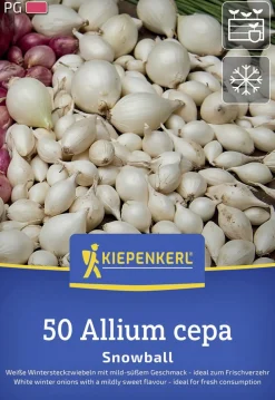 Kiepenkerl Pflanzgut Weiße Wintersteckzwiebel Snowball 50 Stück