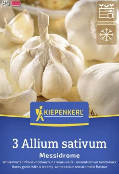 Kiepenkerl Pflanzgut Winterknoblauch Messidrome 3 Stück