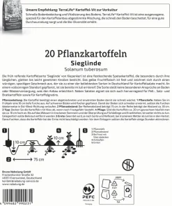 Kiepenkerl Pflanzkartoffel Sieglinde 20 Stück