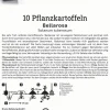 Kiepenkerl Pflanzkartoffel Bellarosa 10 Stück