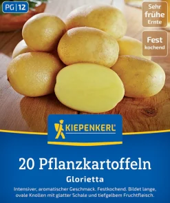 Kiepenkerl Pflanzkartoffel Glorietta 20 Stück