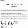 Kiepenkerl Pflanzkartoffel Sieglinde 10 Stück