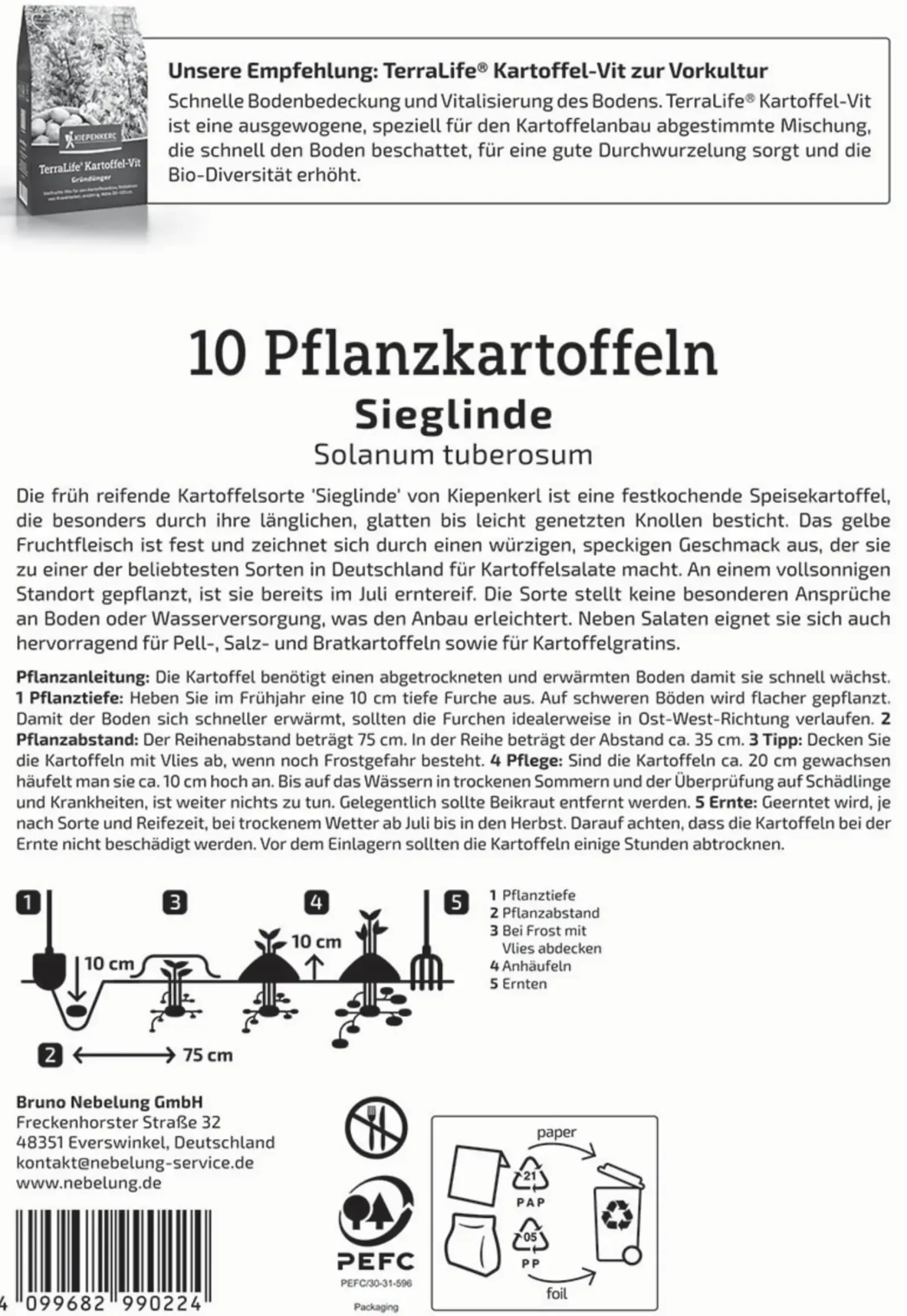 Kiepenkerl Pflanzkartoffel Sieglinde 10 Stück