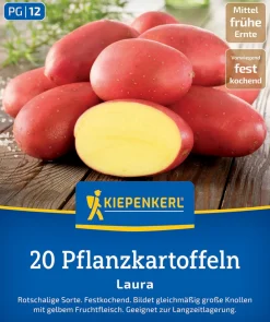 Kiepenkerl Pflanzkartoffel Laura 20 Stück