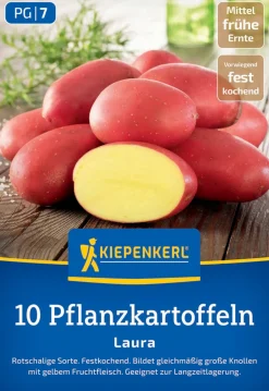 Kiepenkerl Pflanzkartoffel Laura 10 Stück