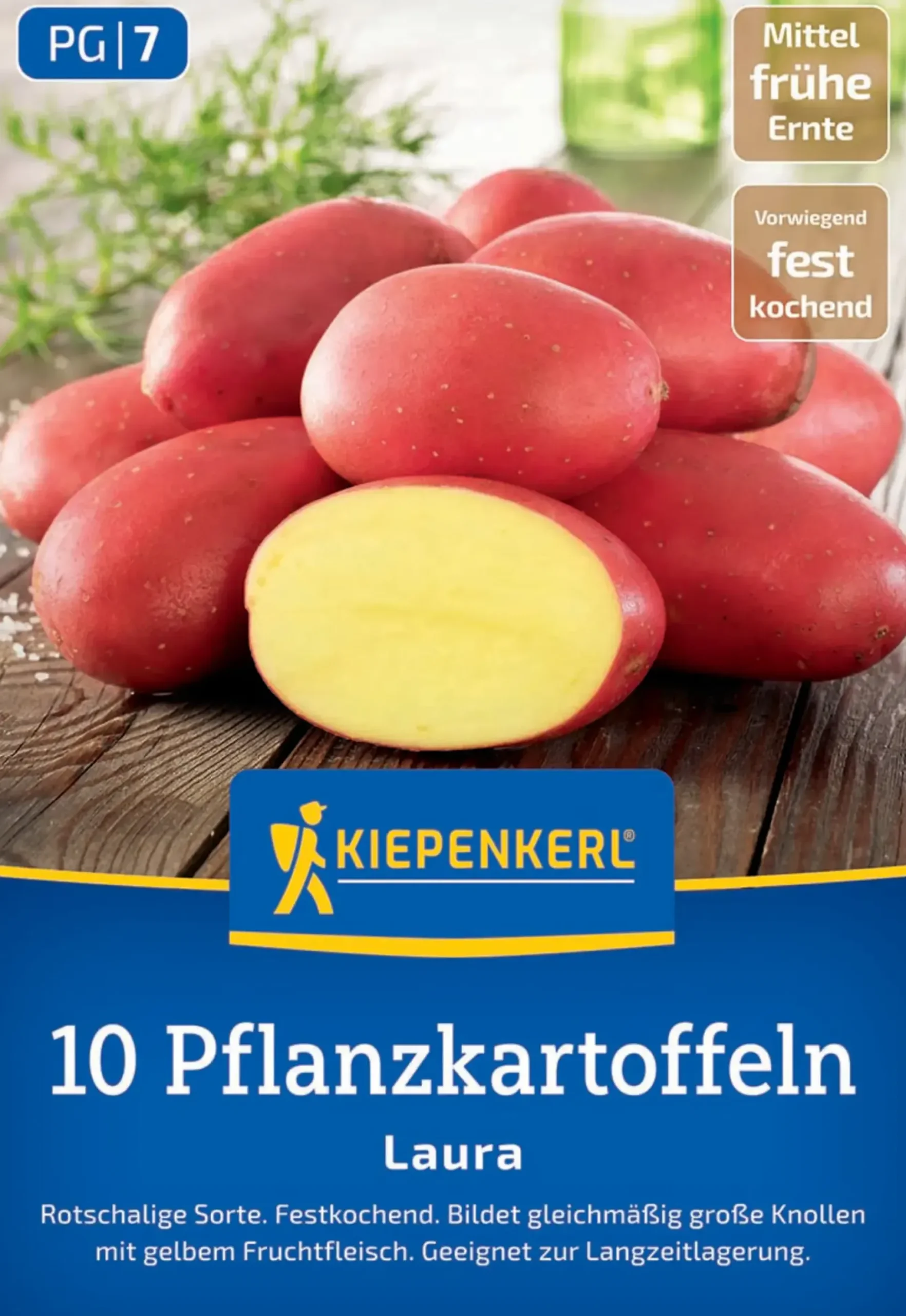 Kiepenkerl Pflanzkartoffel Laura 10 Stück