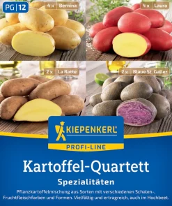 Kiepenkerl Pflanzkartoffel Quartett Mischungstüte Spezialitäten 12 Stück