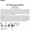 Kiepenkerl Pflanzkartoffel Taormina 10 Stück
