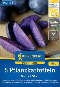 Kiepenkerl Pflanzkartoffel Violet Star 5 Stück