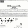Kiepenkerl Pflanzkartoffel Cilena 20 Stück
