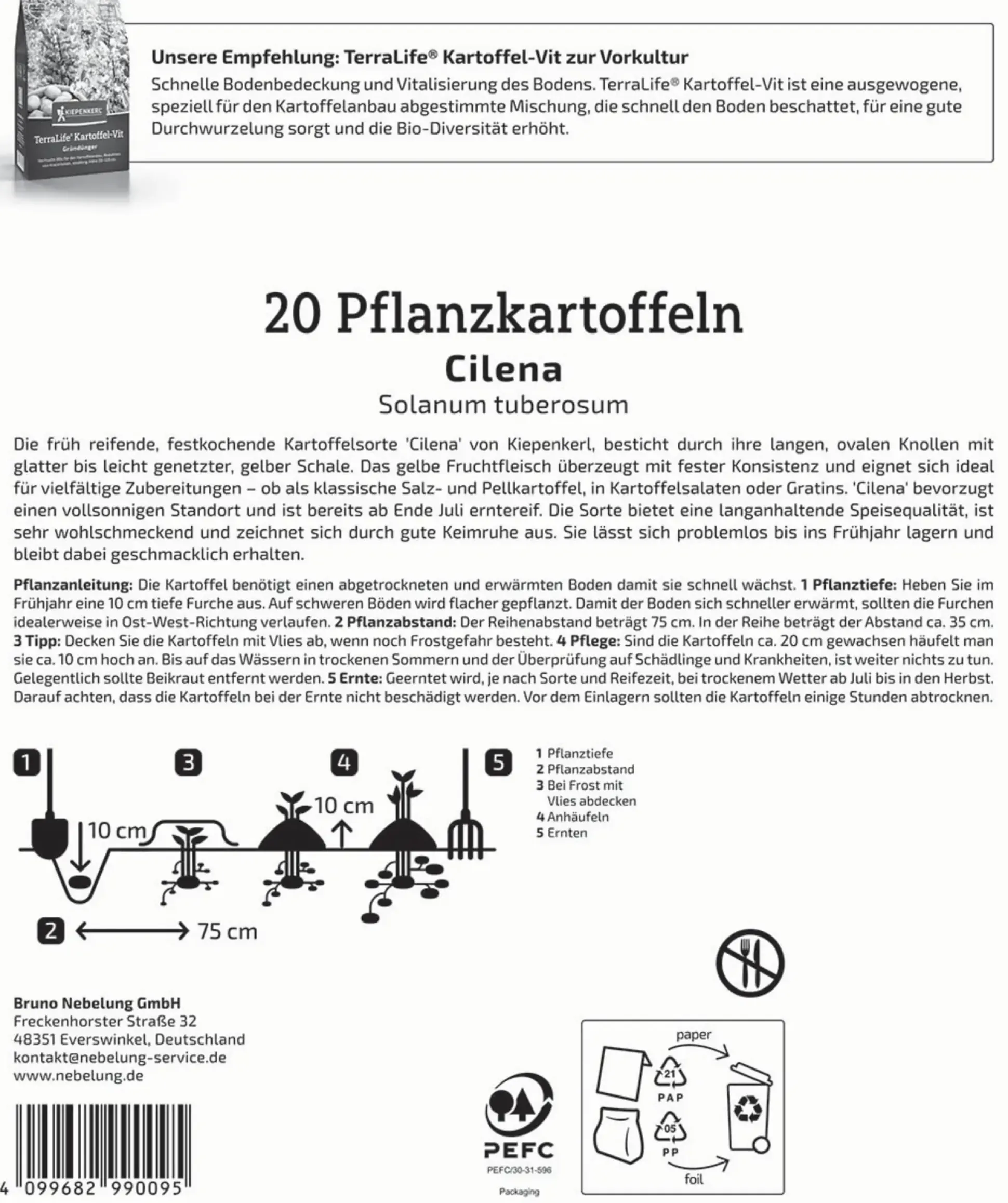 Kiepenkerl Pflanzkartoffel Cilena 20 Stück