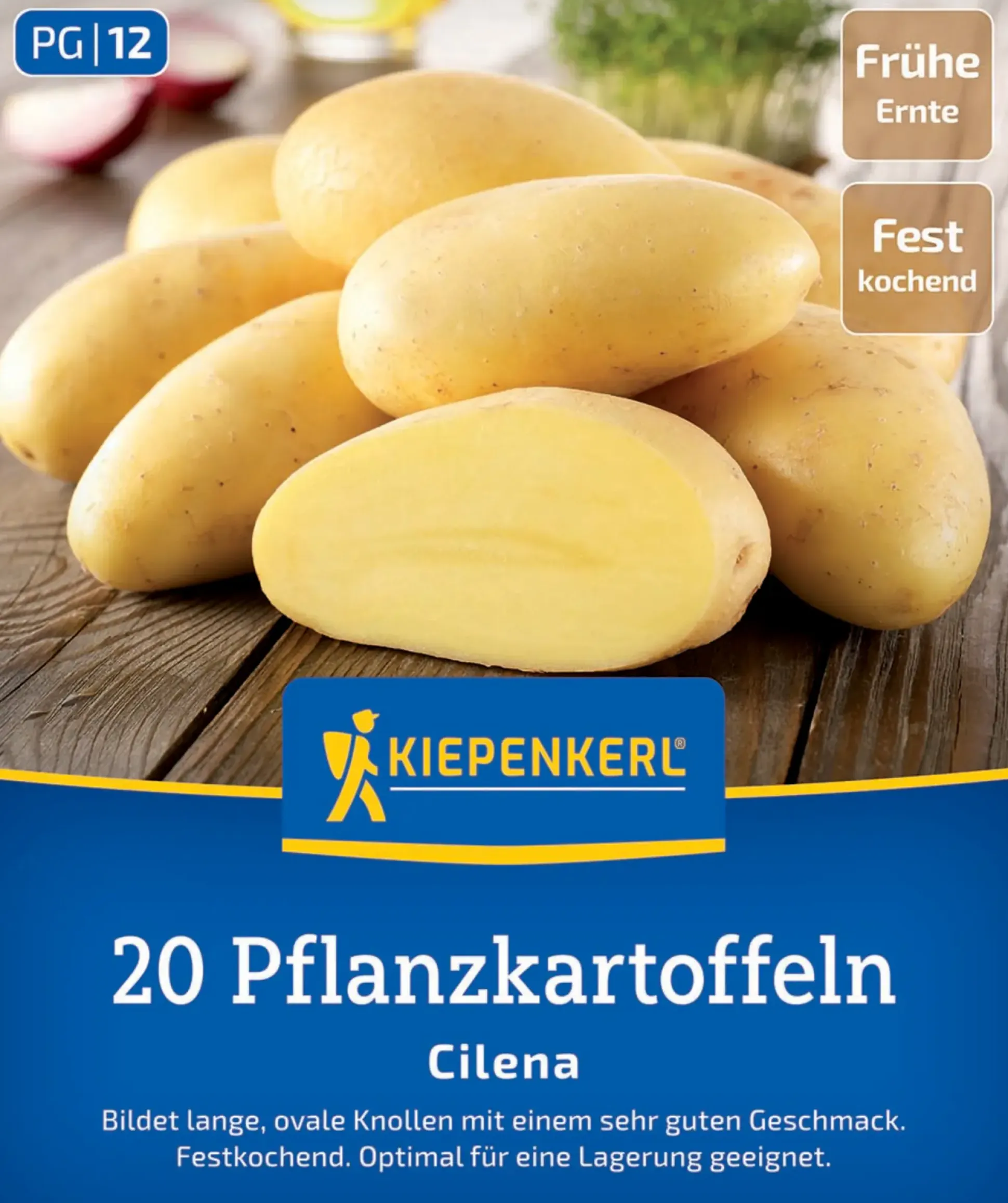 Kiepenkerl Pflanzkartoffel Cilena 20 Stück