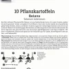 Kiepenkerl Pflanzkartoffel Belana 10 Stück