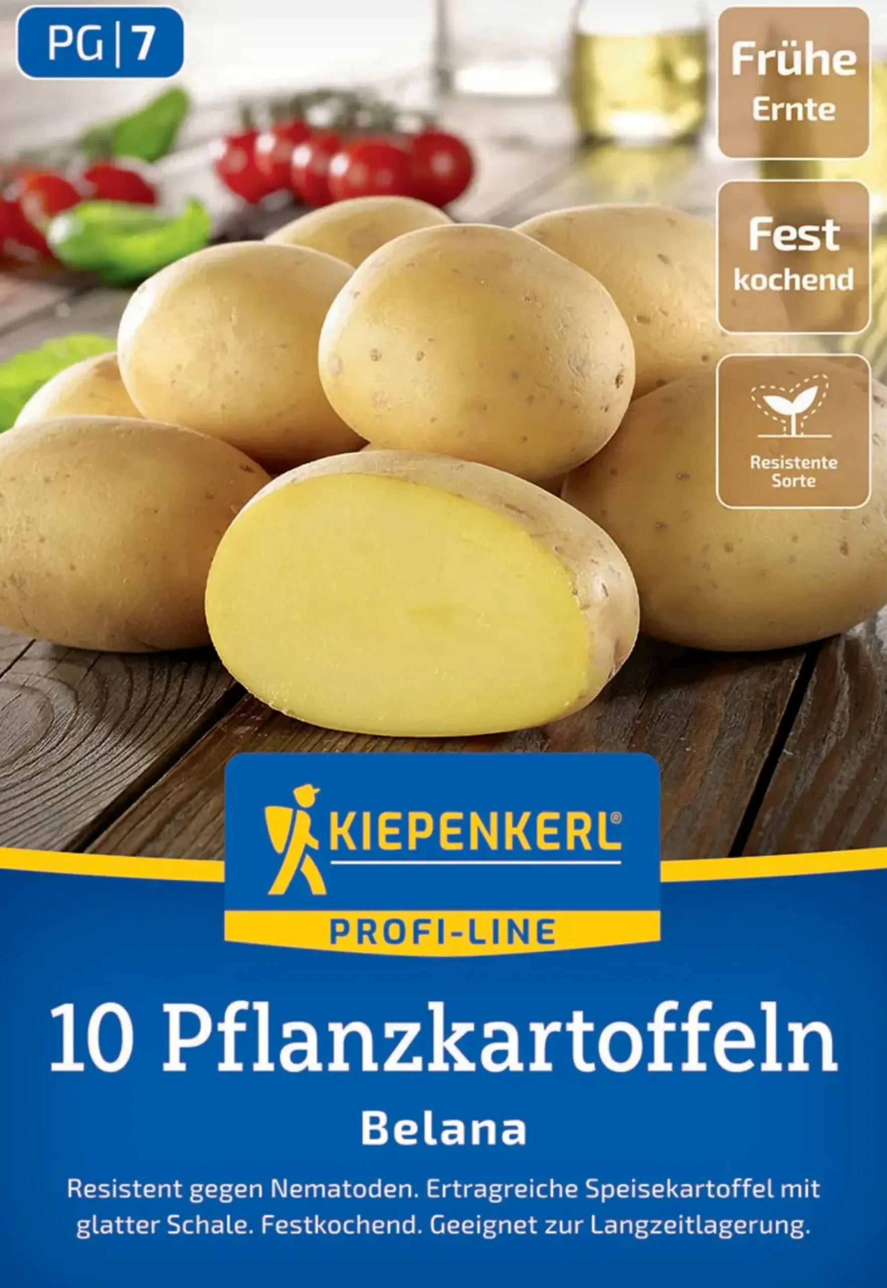 Kiepenkerl Pflanzkartoffel Belana 10 Stück