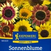 Kiepenkerl Profi-Line Blumensamen Sonnenblumen Fantasia Mischung F1 für ca. 20 Pflanzen