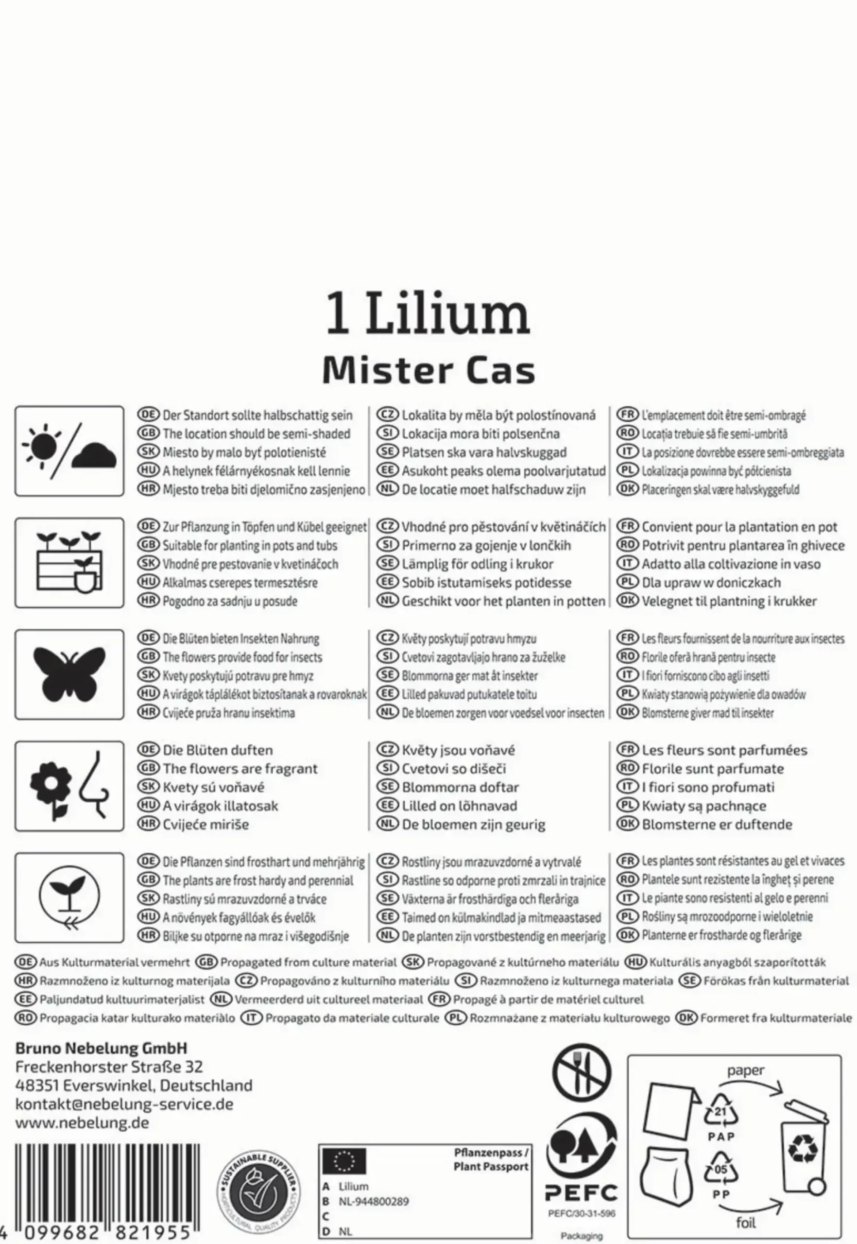 Kiepenkerl Profi-Line Frühjahrsblumenzwiebel Baum-Lilie Mister Cas 1 Stück