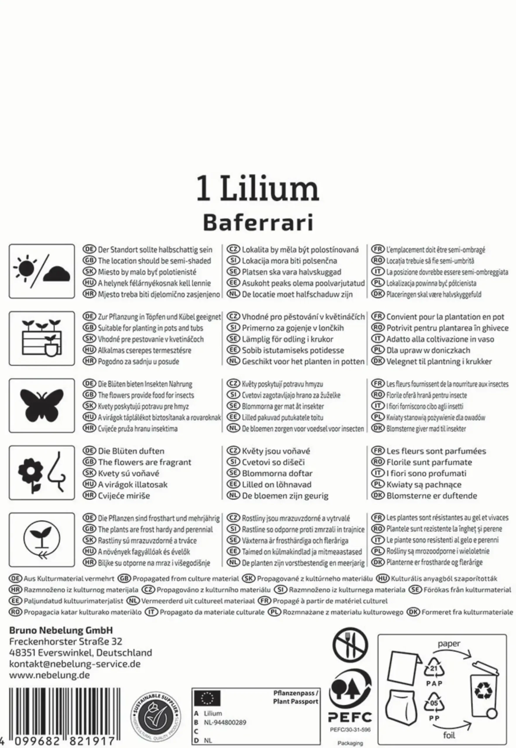 Kiepenkerl Profi-Line Frühjahrsblumenzwiebel Oriental-Lilie Baferrari 1 Stück