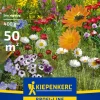 Kiepenkerl Profi-Line Saatgut Niedrige Naturwiese 400 g für ca. 50 m²