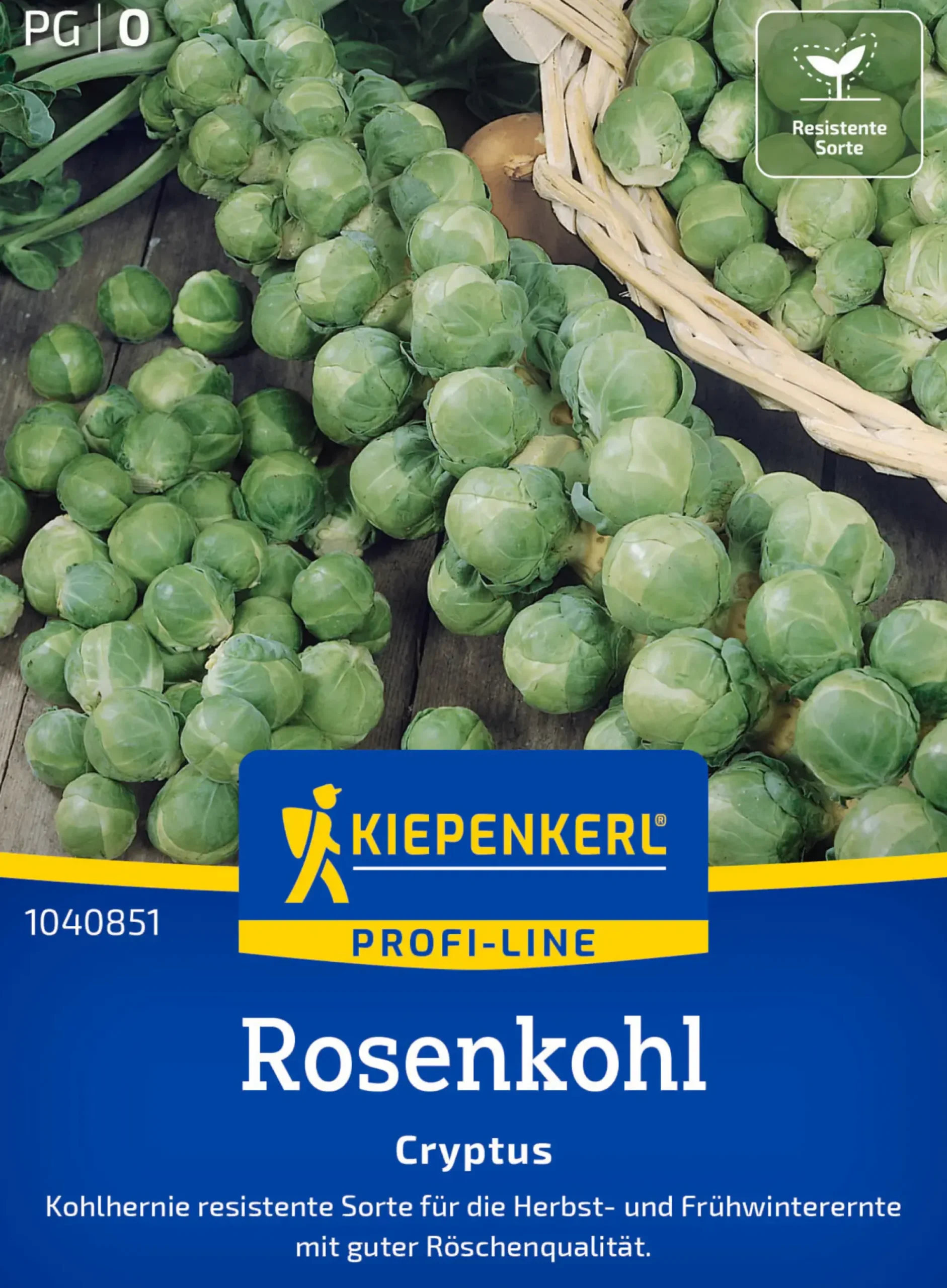Kiepenkerl Profi-Line Saatgut Rosenkohl Cryptus F1 für ca. 10 Pflanzen