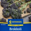 Kiepenkerl Profi-Line Saatgut Brokkoli Burgundy F1 für ca. 12 Pflanzen