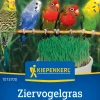 Kiepenkerl Rasensamen Ziervogelgras Frischgrün Mischung für ca. 1 m²