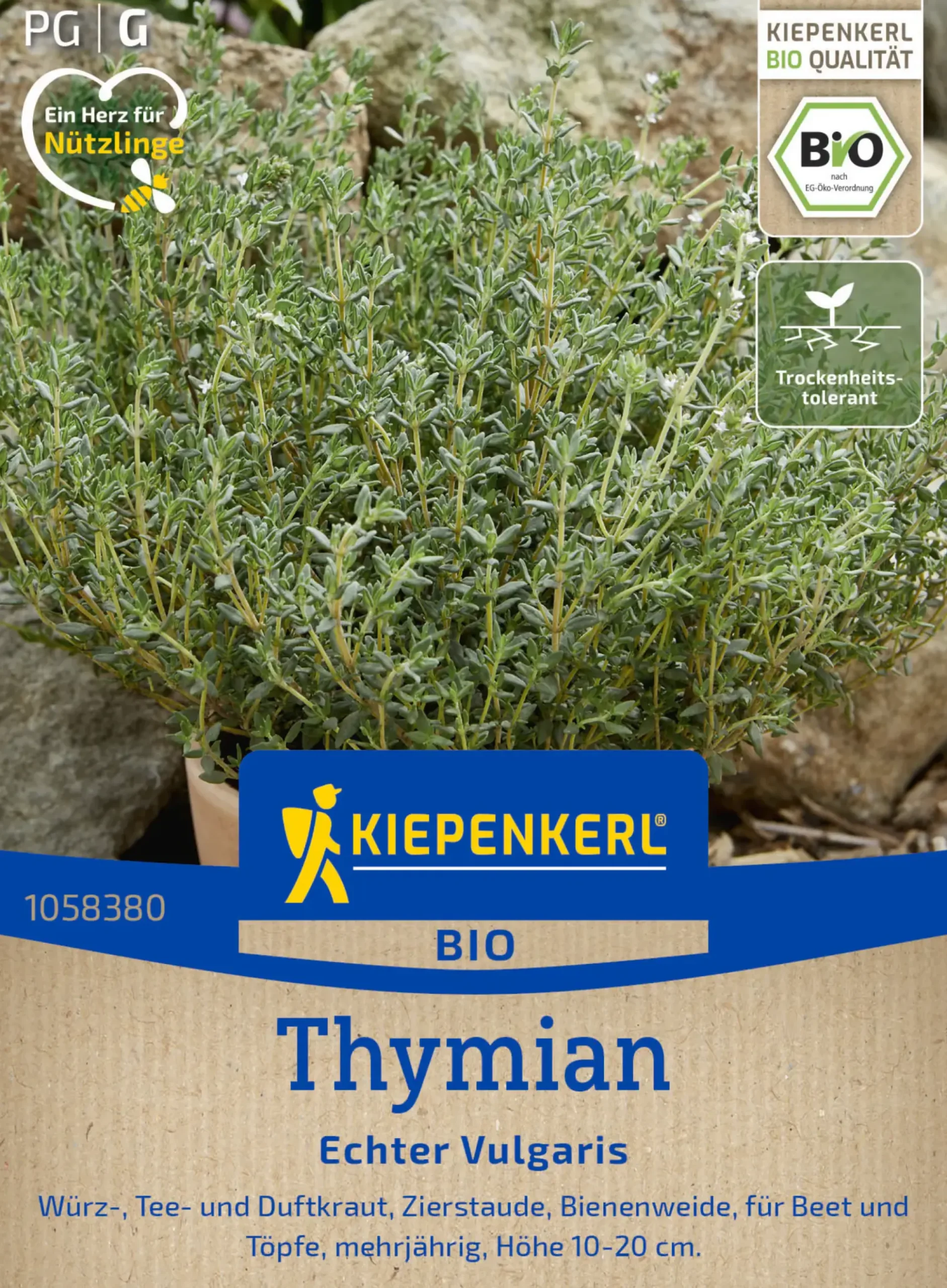 Kiepenkerl Saatgut BIO Thymian Echter Vulgaris für ca. 150 Pflanzen