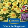 Kiepenkerl Saatgut Blumenzwiebelmischung Mega-Pack für ca. 20 Pflanzen