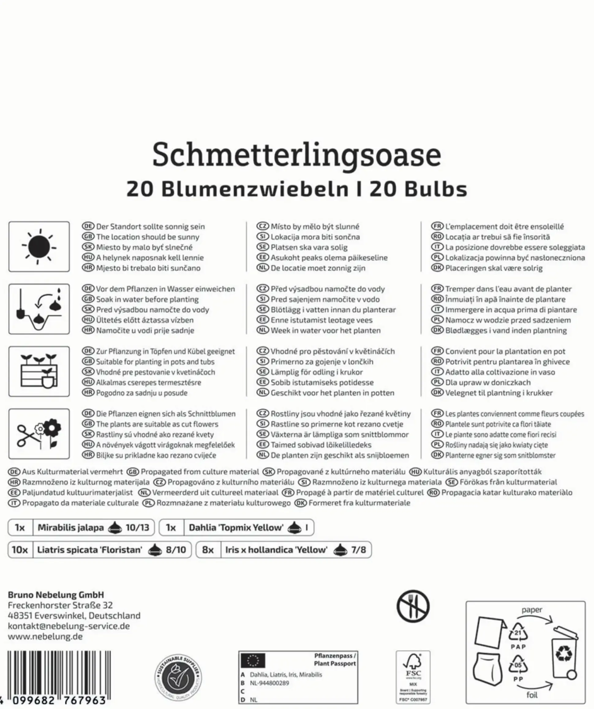 Kiepenkerl Saatgut Blumenzwiebelmischung Mega-Pack für ca. 20 Pflanzen