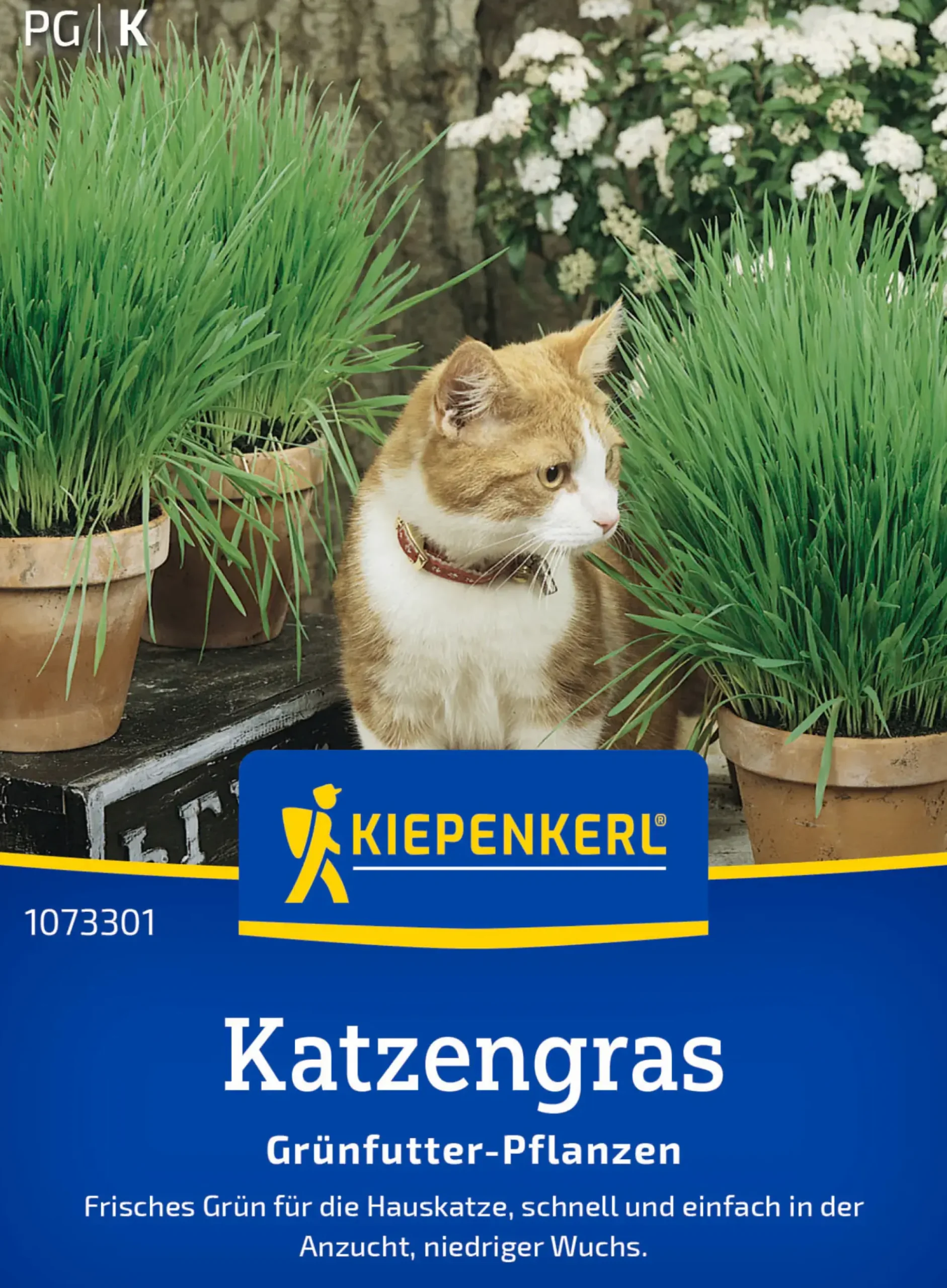 Kiepenkerl Saatgut Katzengras Frischgrün Mischung für ca. 1 m²