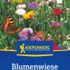 Kiepenkerl Saatgut Kiepenkerl Blumenwiese für ca. 25 m²