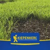 Kiepenkerl Saatgut Kiepenkerl Nachsaatrasen 1 kg für ca. 40 m²