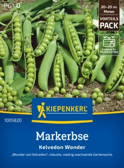 Kiepenkerl Saatgut Markerbsen Kelvedon Wonder Vorteilspackung für ca. 8 – 12,5 m²