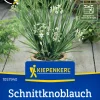 Kiepenkerl Saatgut Schnittknoblauch Neko für ca. 100 Pflanzen
